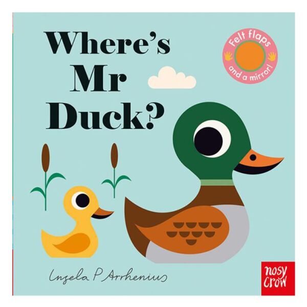 Where Is Mr Duck Buggy Book