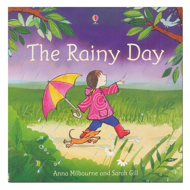The Rainy Day