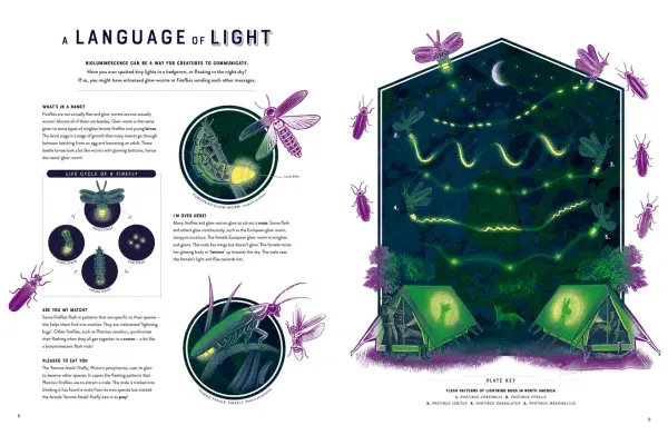 Glow - The Wild Wonders Of Bioluminescence