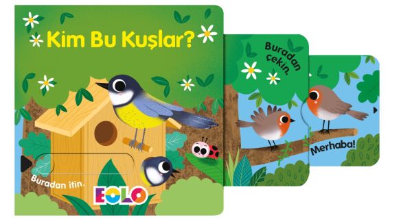 Kim Bu Kuşlar?