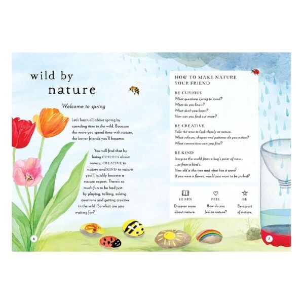 A Field Guide To Spring