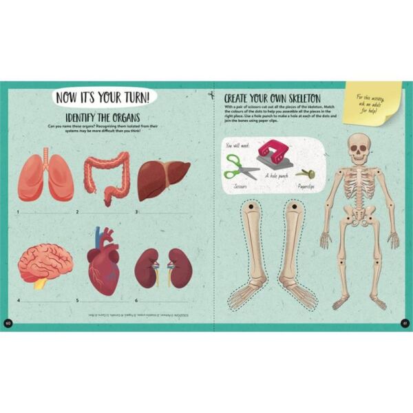 What- How- Why - Human Body