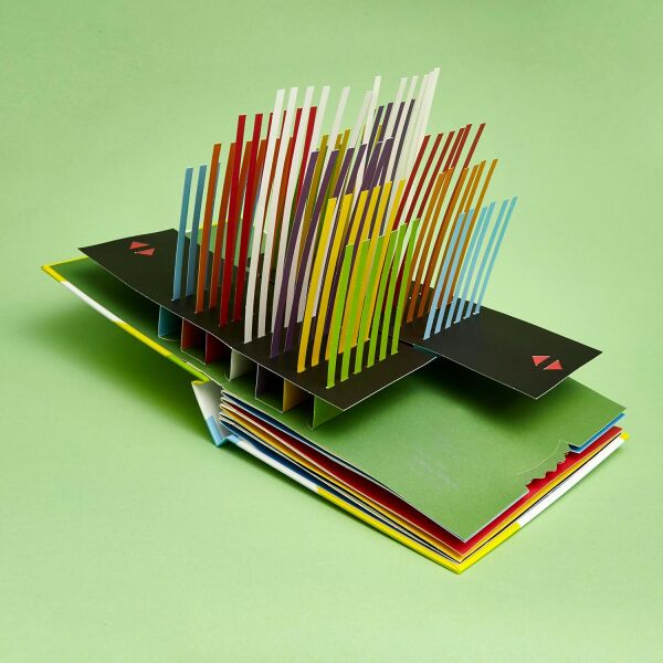 Move! - Pop-up Kitap