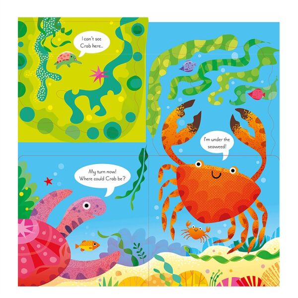 Play Hide And Seek With Octopus